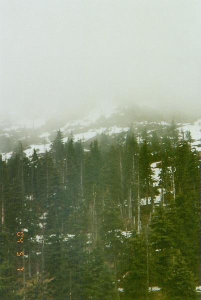 w13.jpg
